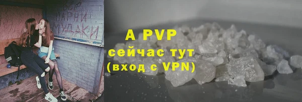 винт Горняк