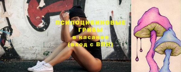 винт Горняк