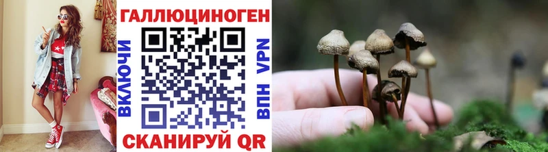 Псилоцибиновые грибы ЛСД  Купить  Петровск-Забайкальский 